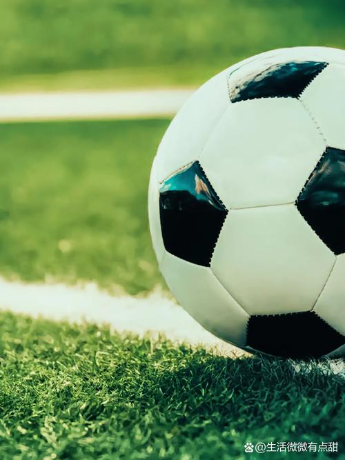 球探比分篮球即时比实时数据展示界面