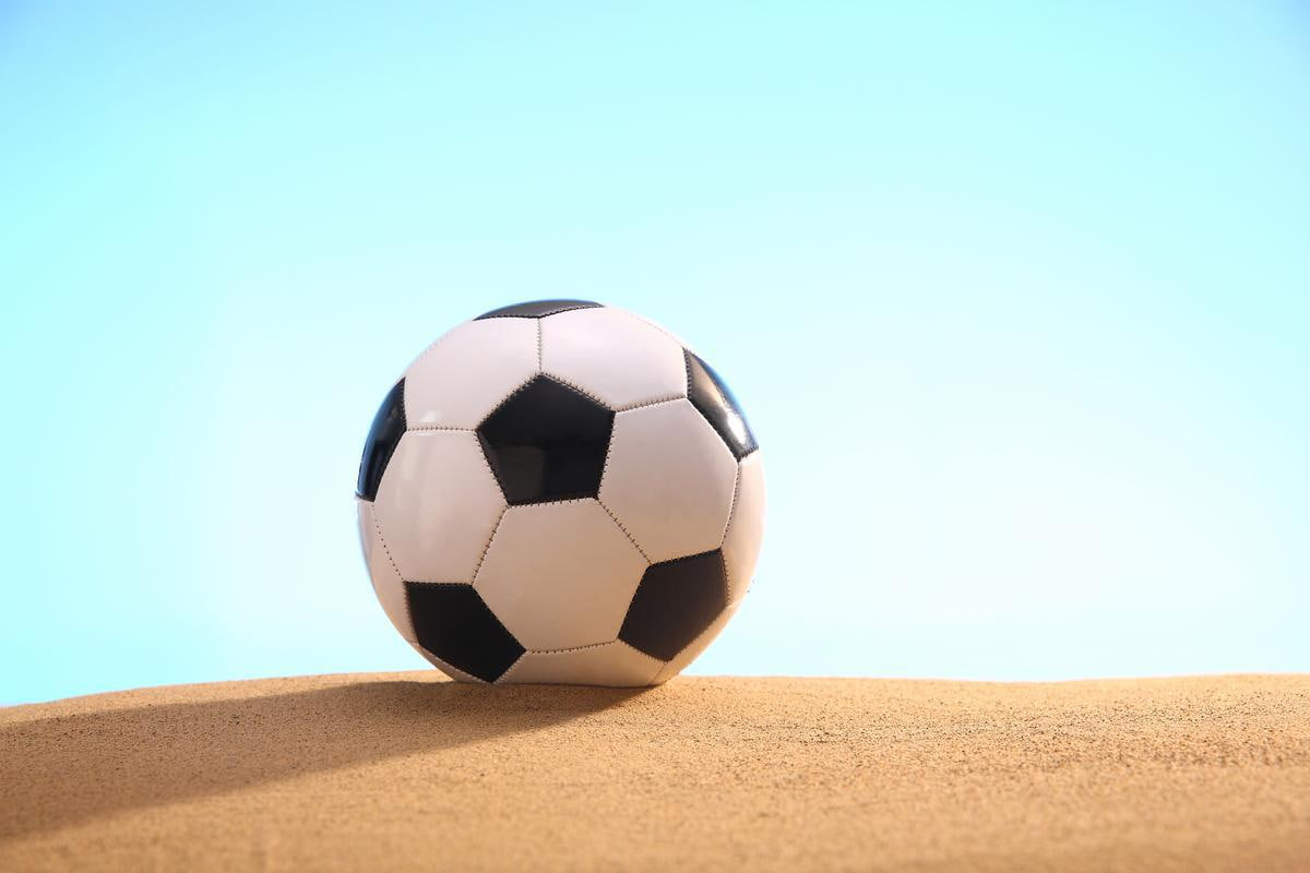 专业分析师使用平台进行数据研究